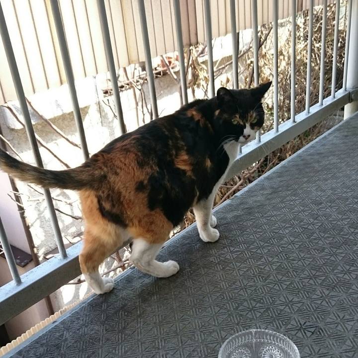 F8096617 8dba 4bdd ae05 f8530e56d63d