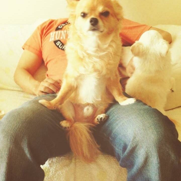 F80973de 6a71 441e 9603 70511368088c