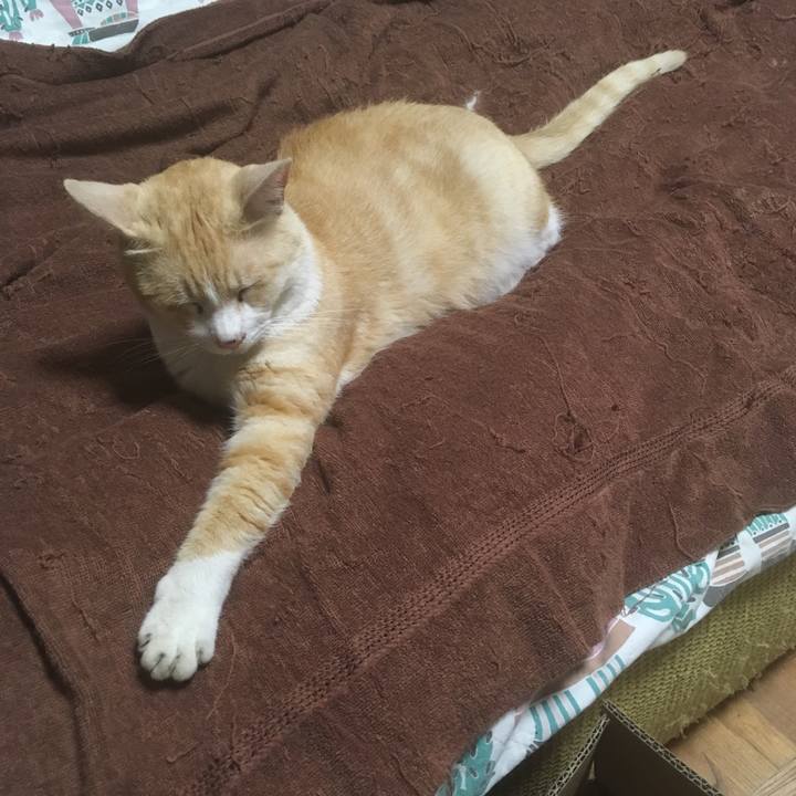 F809e2d3 abee 41ec baa8 0933d0e83aac