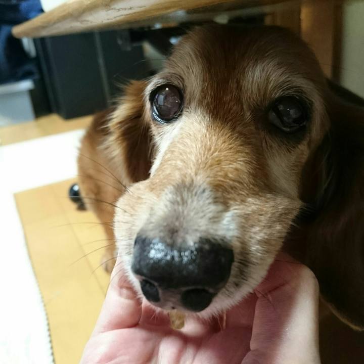 F80a11a1 03c0 4216 bc2c 6f0081a2ebec