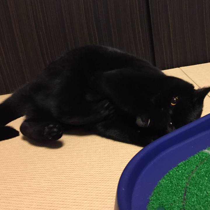 F80b55da 69aa 4e7f bf32 2d0864fee7b8