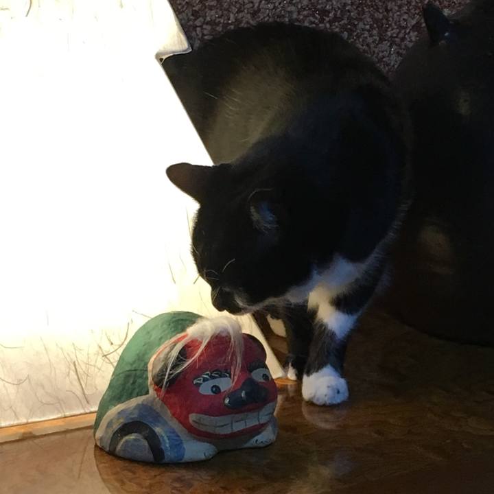 F80be1c1 4d47 414d 9f9b c0c58aea2a1c