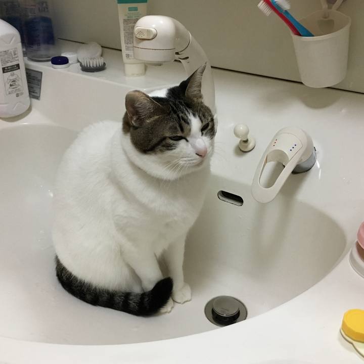 F80c4c37 b5af 4a67 a8a2 1c1cb9c6c8ac