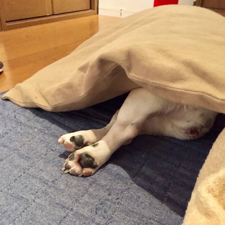 F80ca4f0 af0b 43c9 bd26 321a11f6d249