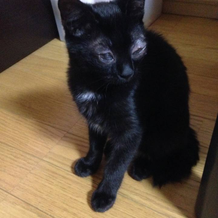 F80d1c30 cfd5 437a bed4 350063636321