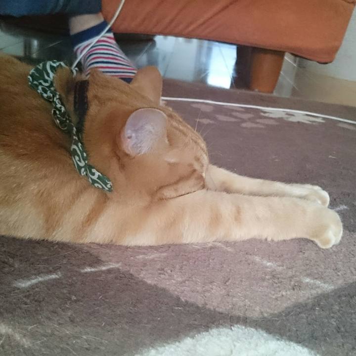 F80d9e66 977c 4492 9d46 62f81de9fb07