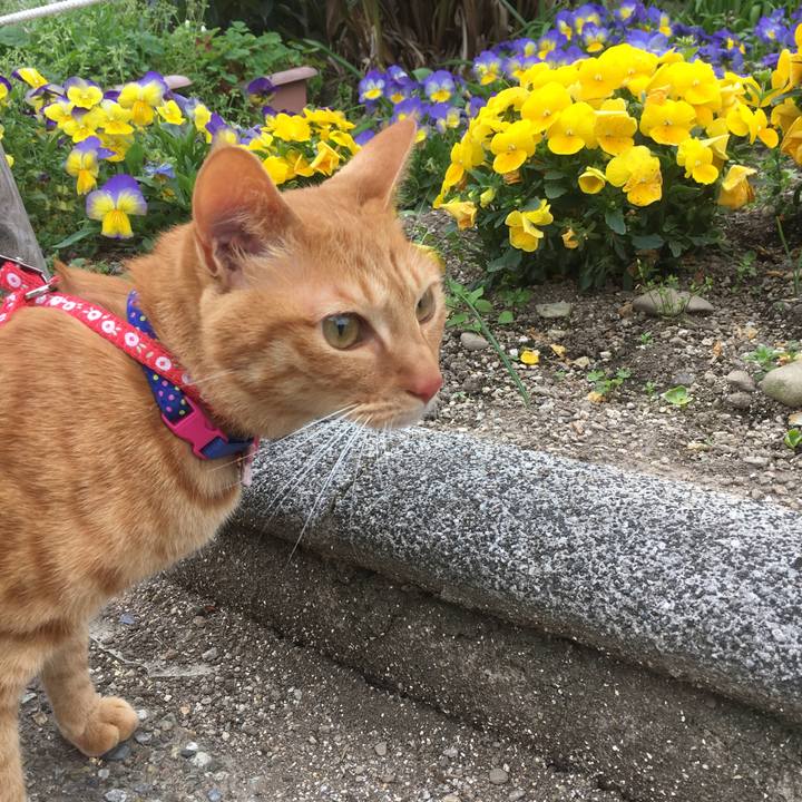 F80e0d98 05a1 4ed9 869a 9fc8797f2b21