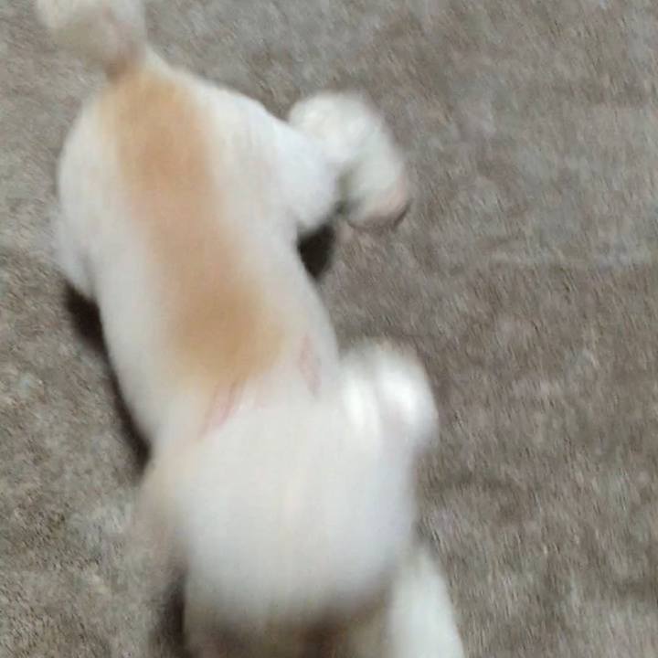 F80e1844 0ce3 4e54 9f77 da78ef39c91f