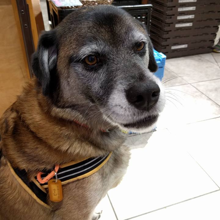 F80e2492 252a 4f9a b6fc e8d2ed986670