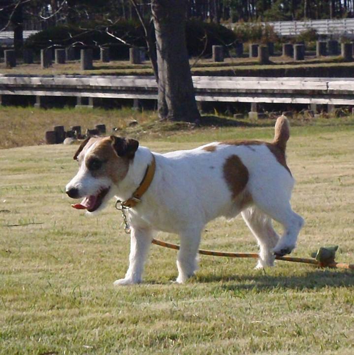 F80e29dd f901 4e7f 8011 9bae08de389b