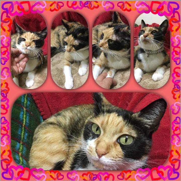 F80e53c2 234c 41f0 aa13 3487825df2f0