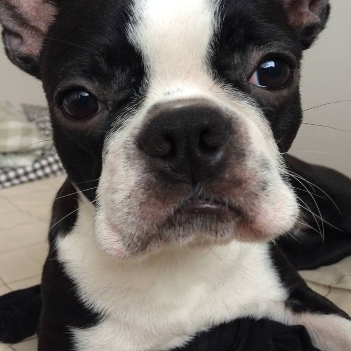 F80eabfa f8a8 41f1 a923 22f1fdbe107b