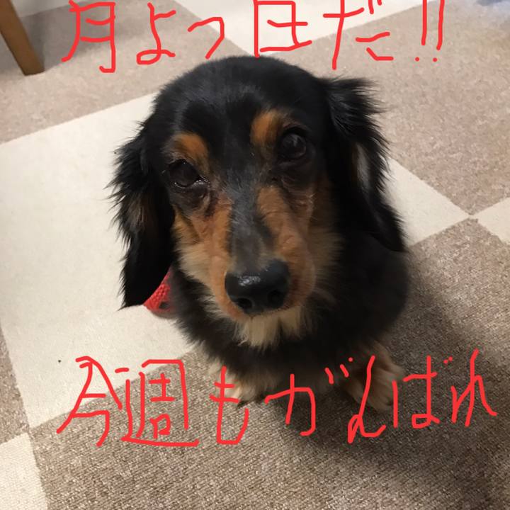 F80eb966 1a19 4726 8c6e cc59c4e3a009