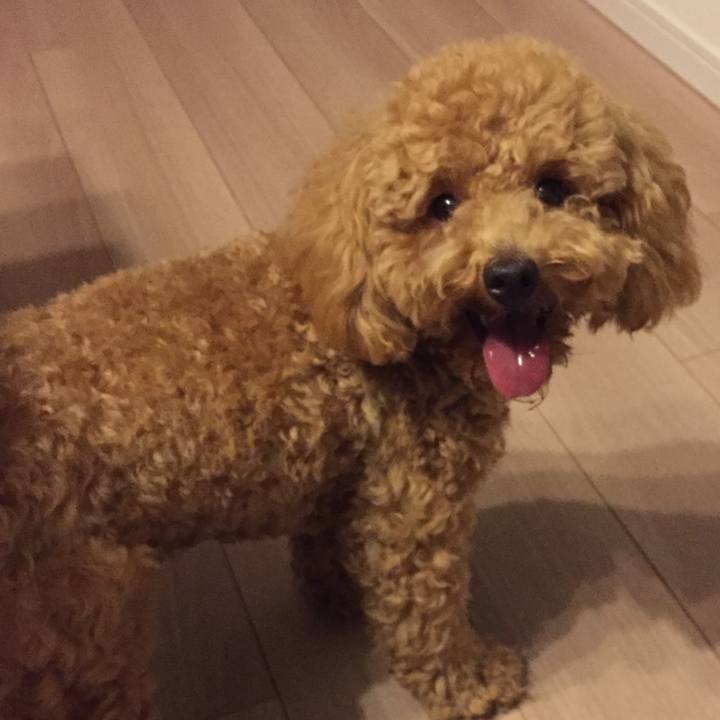 F8102adb f126 462e 92e9 089c343910d6