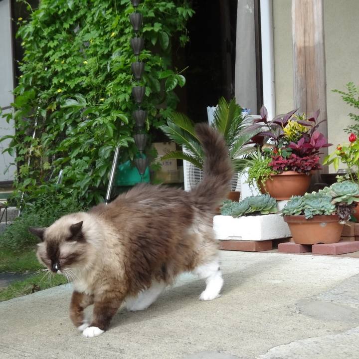 F81065dc 1eab 447a 8ffa 734b8d88ebd9