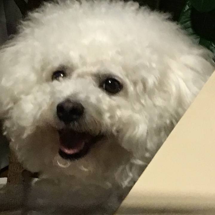 F81085c3 ad0a 4f9d a199 100df069f9b4