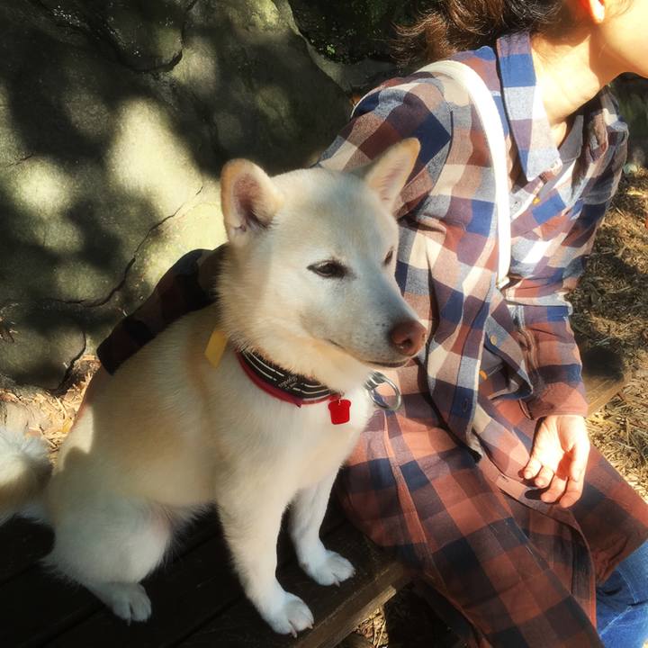 F810a581 ae16 4b2a ad88 decf0b8d32a2