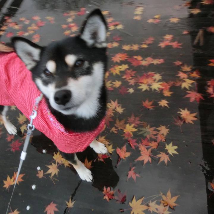 F810a669 5154 4f86 a1a4 3c0f25aee0a7