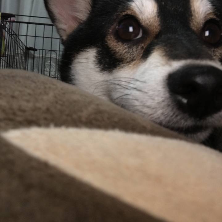 F810f6ca 9f42 497a b04a 35f83c37a40a