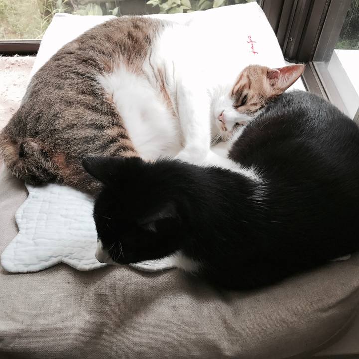 F811b109 35e7 465d b579 de251fdded06