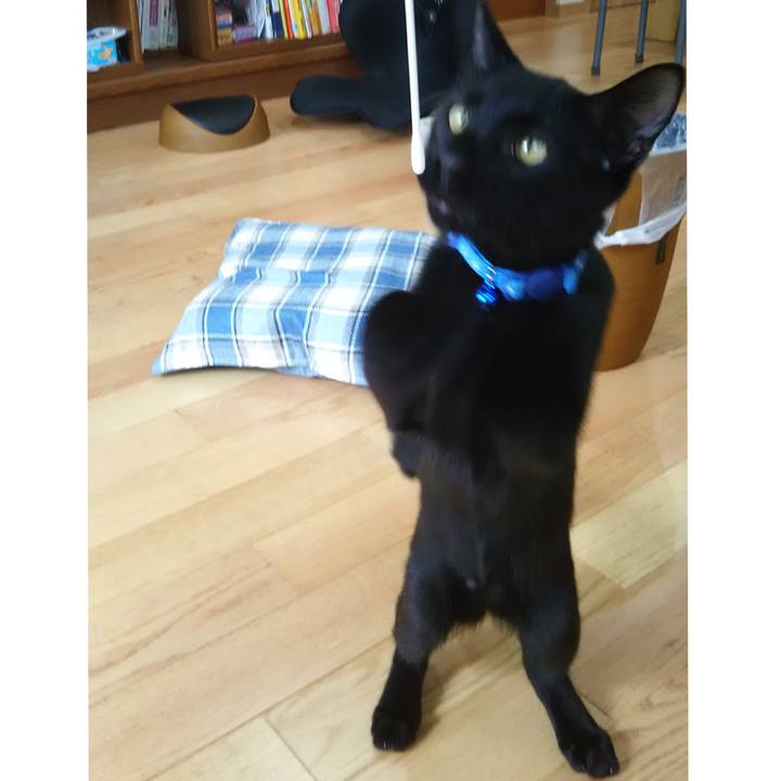 F8123f09 9e79 4816 925a f9a443065677