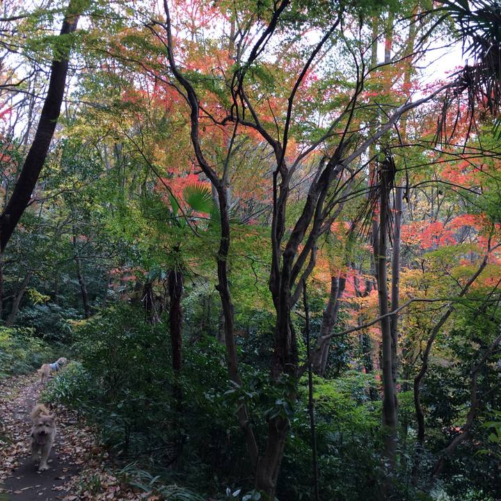 F813af63 2fac 453d a438 43f6a3528594