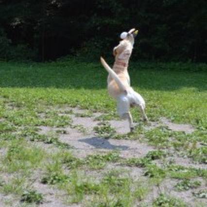 F8140dcd c3e9 4e44 a06a 2a8fa9cd5c72