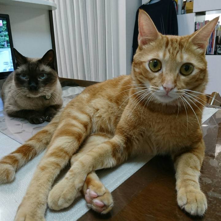 F8142dc7 c8f9 41a7 93a3 0c62d5a3af35