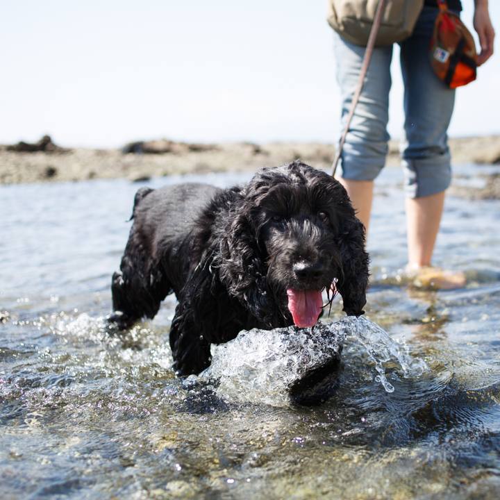 F81456f6 a8fe 416a 90db 93d06a09d29f