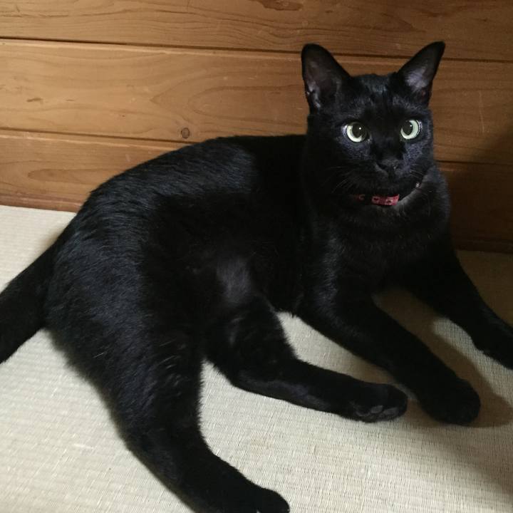 F814ea29 ec78 446e aec8 e140170e2f7b