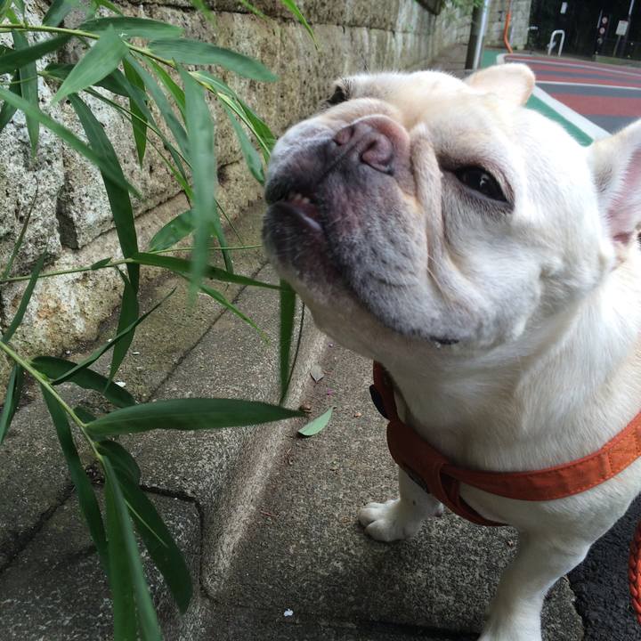 F8150c50 45a5 4793 aafd ad9d7ece3c9f