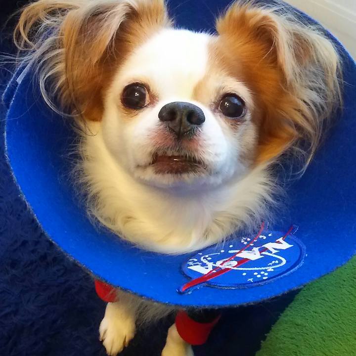 F815160b 561a 4c9d 86b3 cea91dbb0044