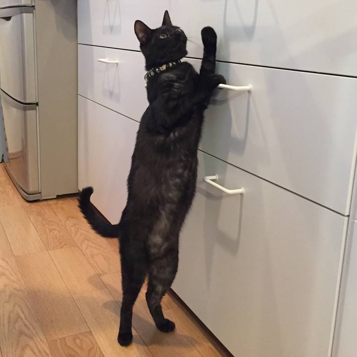 F815623e 69e7 4c2c ba8c 5e85d7d420fe