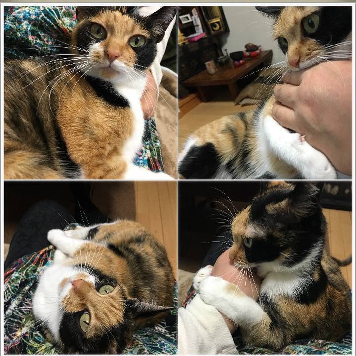 F8162771 c2a2 47eb b1a4 ed691812f242