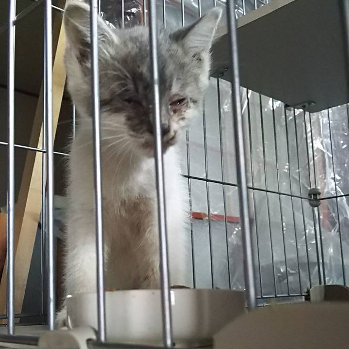 F8163216 d465 4f02 a358 a19716d7a128