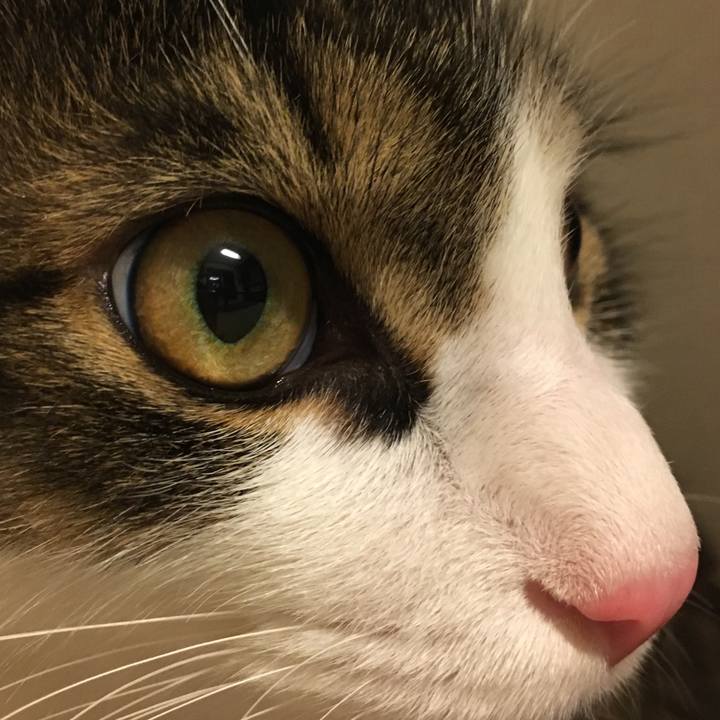 F816495e fe48 4b09 b44a db003ec5c6b4