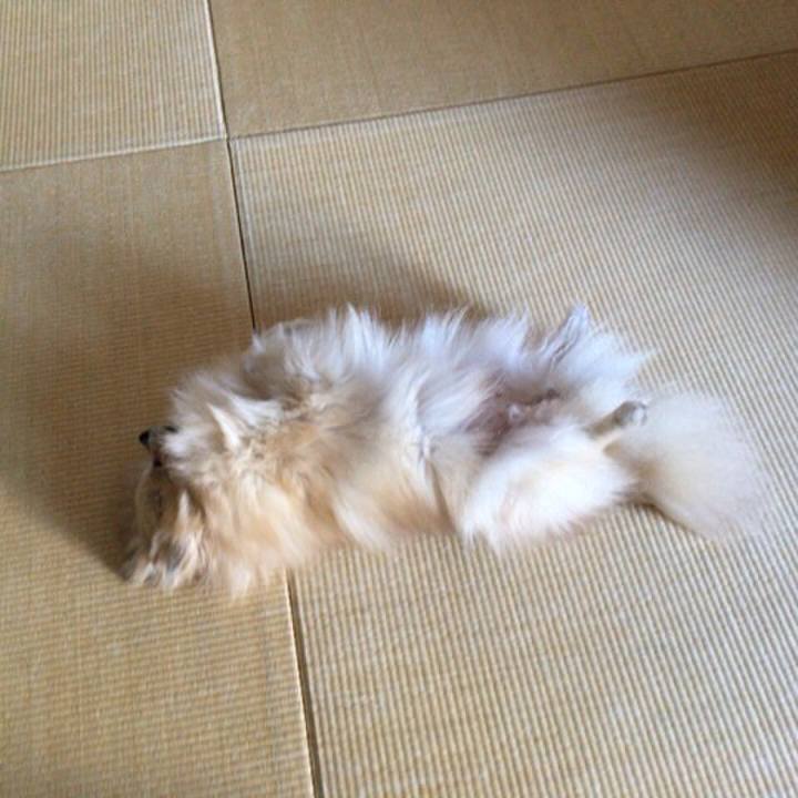 F816c25b c5d3 42fd a5d7 437a94d6fa22