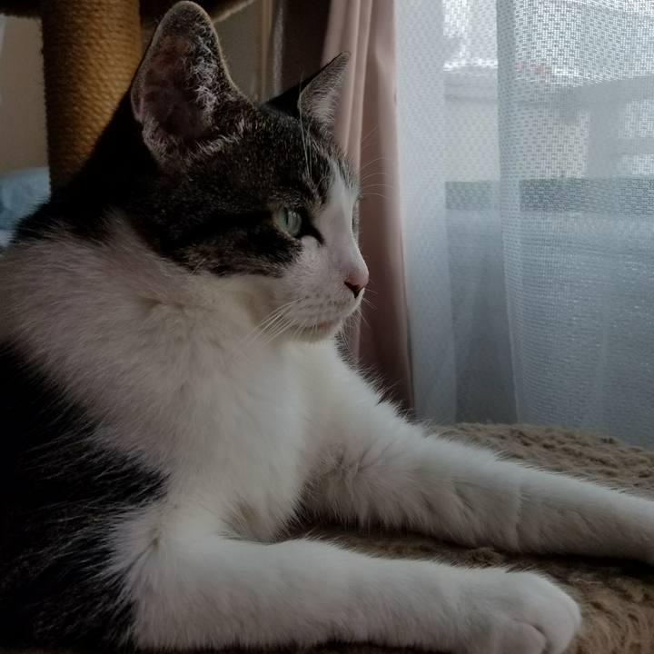 F816e740 505b 42cd 8b76 4560d884d2c5