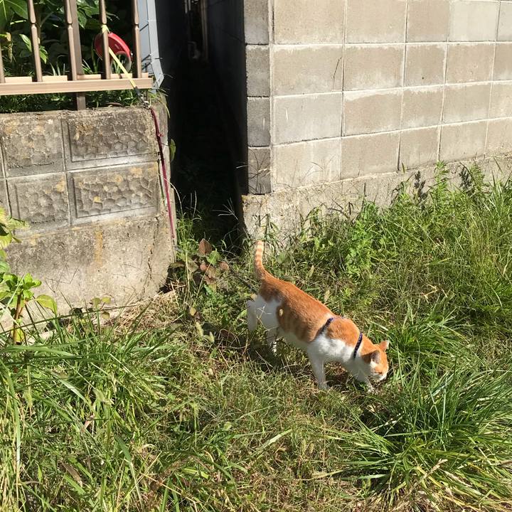 F817a609 bb62 4188 b7dd 78ff58767540