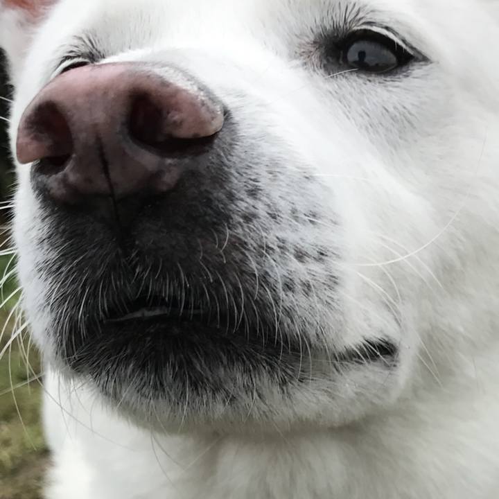 F817b5bb c8d6 4024 9a61 7cc441e4d5d0