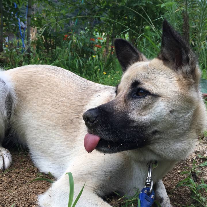 F818020c e79a 45f6 8704 1e4faee05dbd