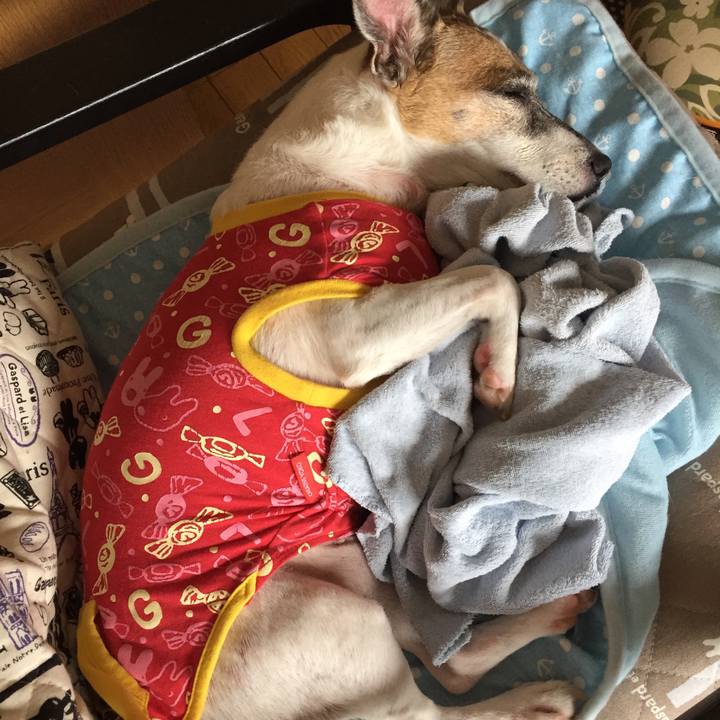 F818323a ae88 46fe b082 2f8d45e1701d