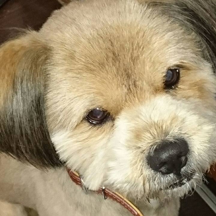 F818fac6 ffd8 478b 90fc c3213ca6a340