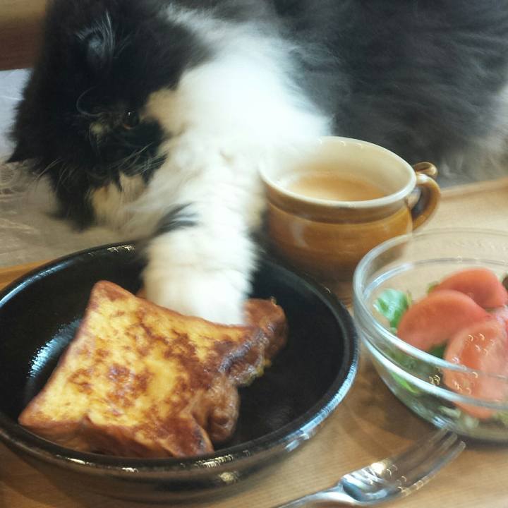 F8195f85 7ac1 4001 b7d4 4728e3e4eafd