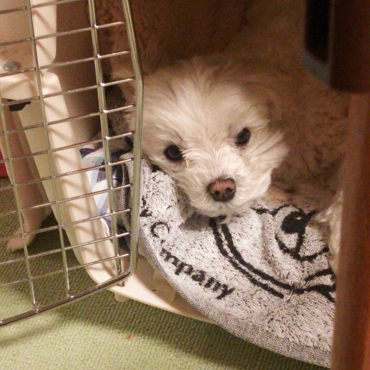 F8199cd0 f845 4148 a126 562b6ffee4f6