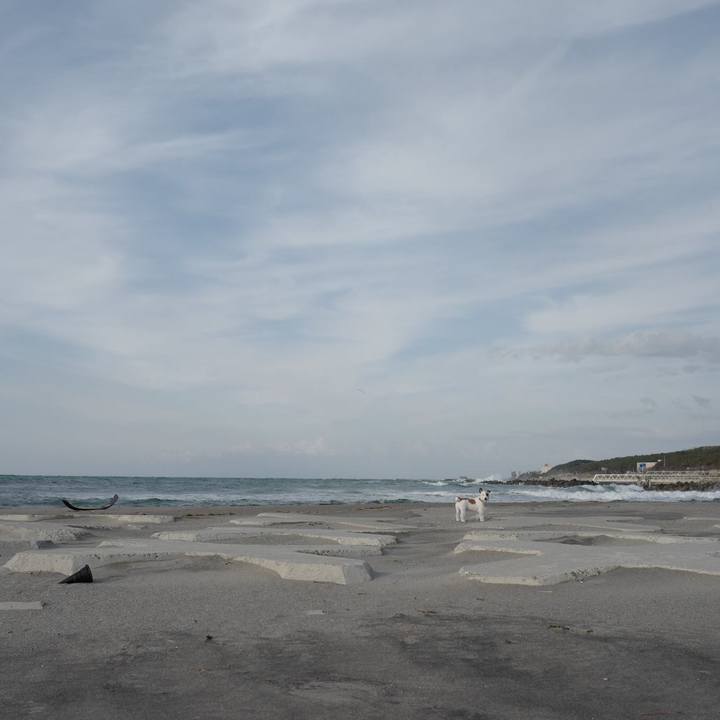 F819cf14 3426 4c17 b20d 4c94cd771fc8