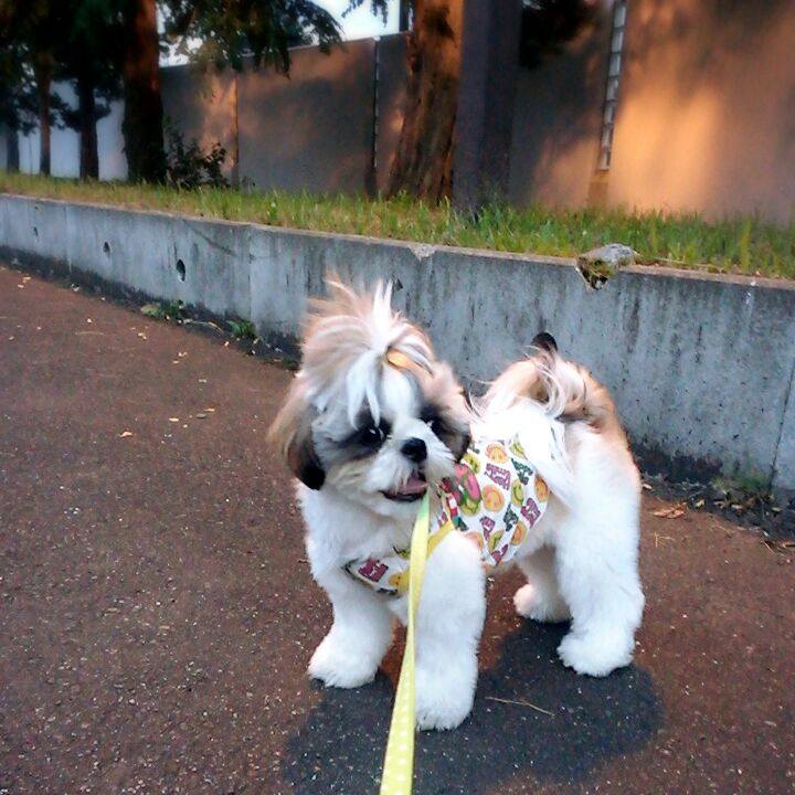 F81a0e4c 3c8b 48ce 8b49 428e1cf1344a