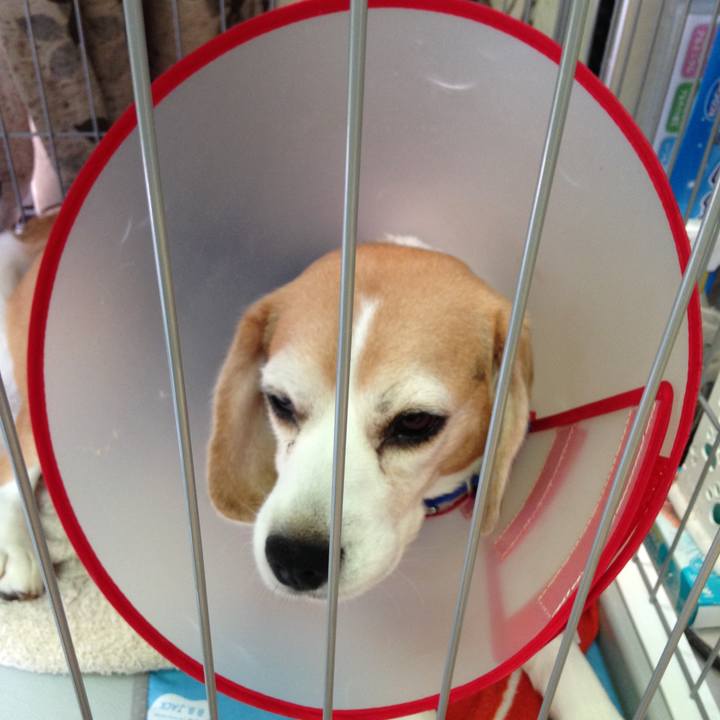 F81a23b2 5712 4e4c 998f 043f2c21eda8