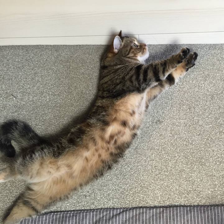 F81a570d dab6 4234 ae63 2ef0e74566bb