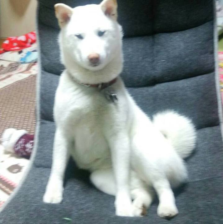 F81a7d64 21af 4480 baed f8e708463dd7